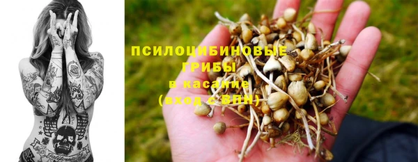 альфа пвп Бугульма